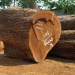 perbedaan kayu jati dan mahoni